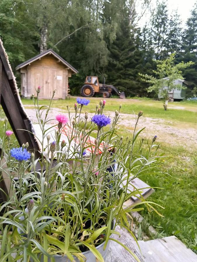 Kulttuurikartano Pekan Pirtit Haapavesi エクステリア 写真